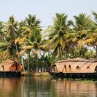 House boats sur les Backwaters