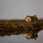 House by the River