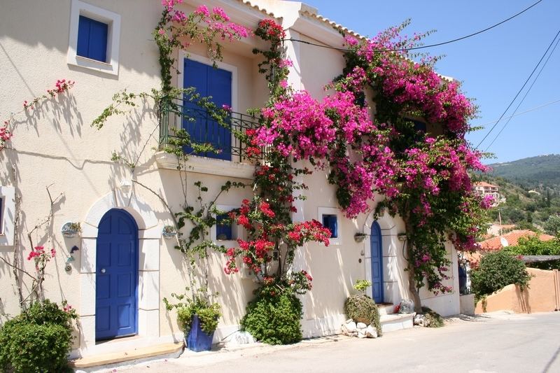 House in Assos