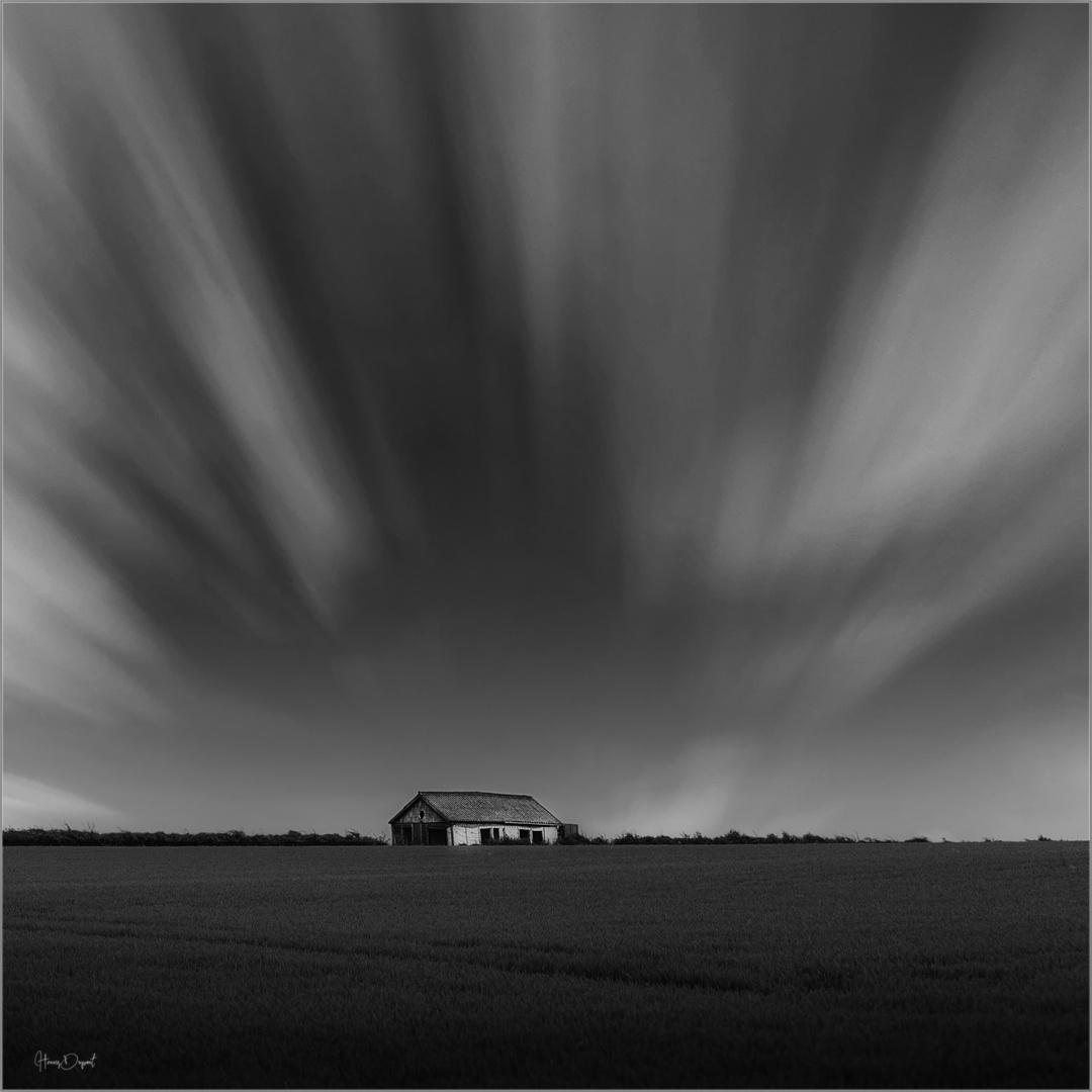 House in field