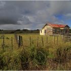 House in Kaareponia