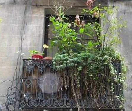 House in Pamplona