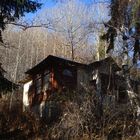 house in the forest