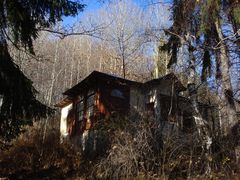 house in the forest