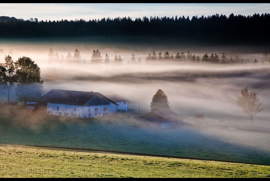 House of the rising Fog II