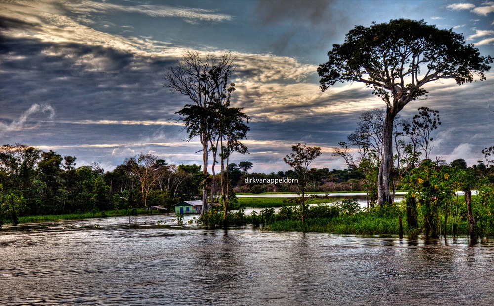 House on the Amazon