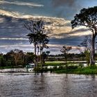 House on the Amazon