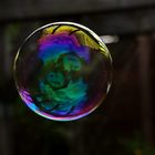 House Reflection in a Bubble