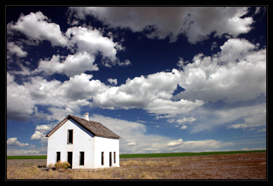 House with a View