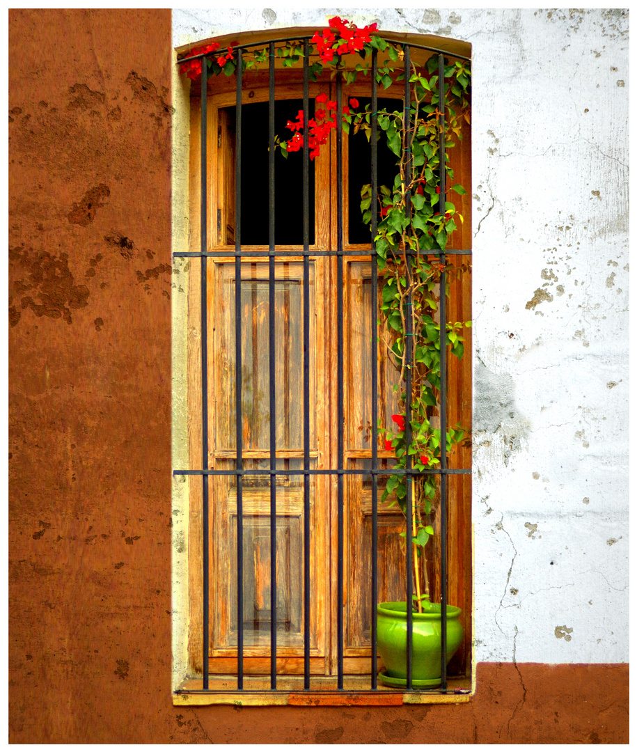 house with a window