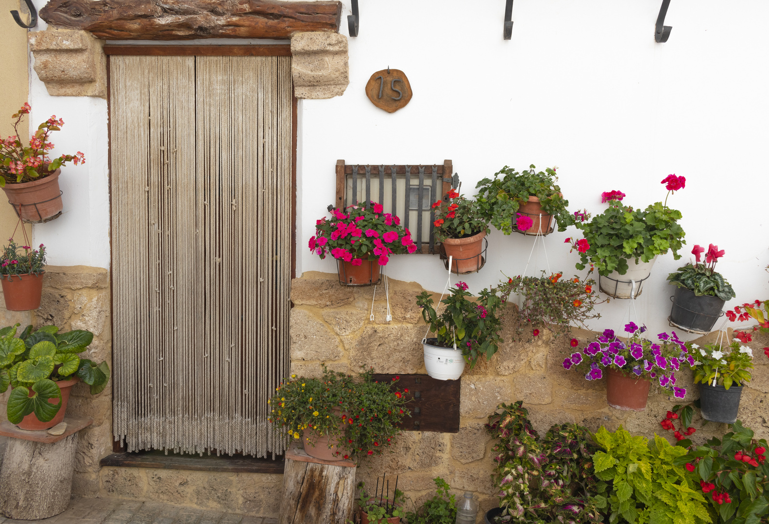 House with flowers