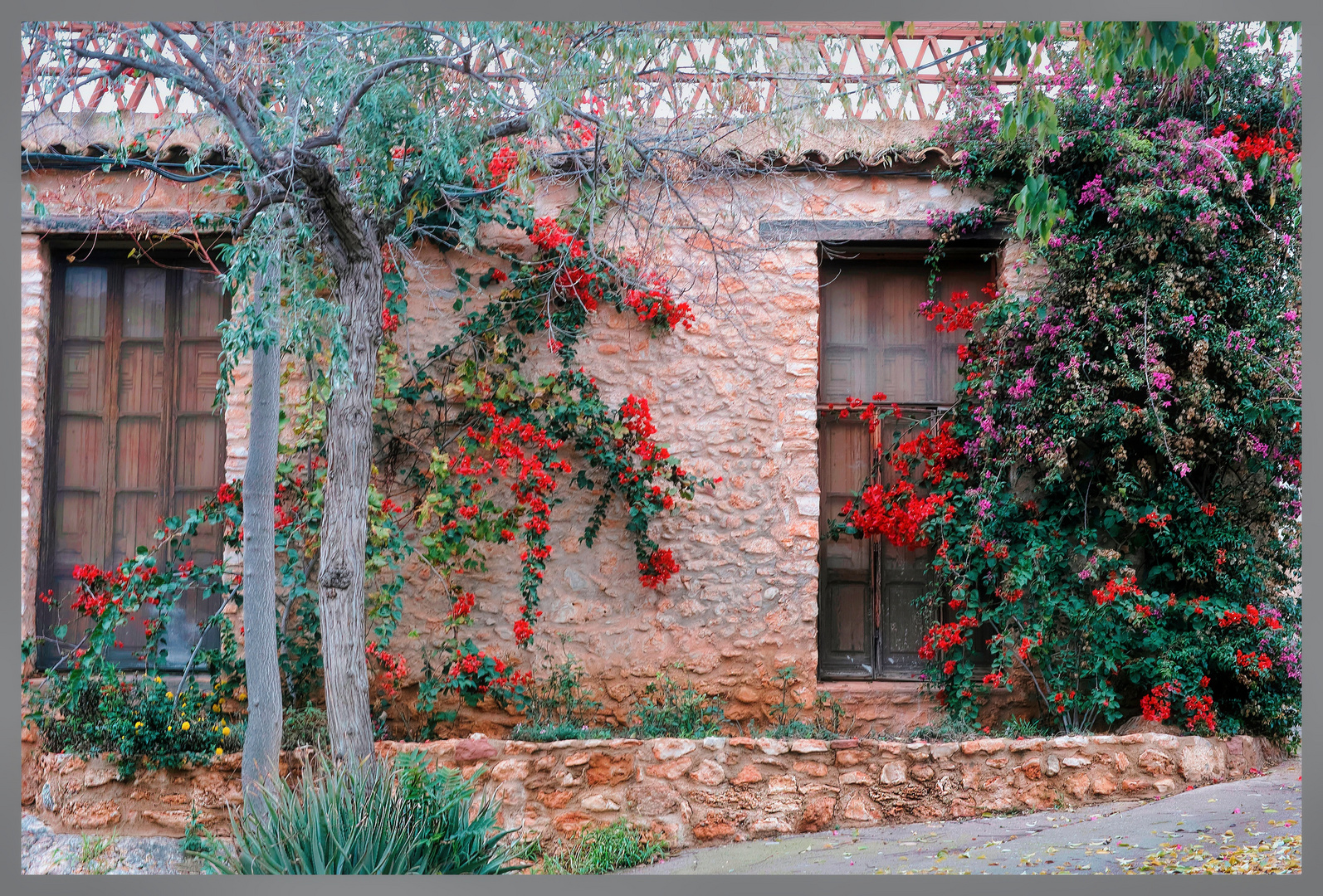 House with flowers