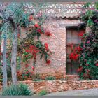 House with flowers