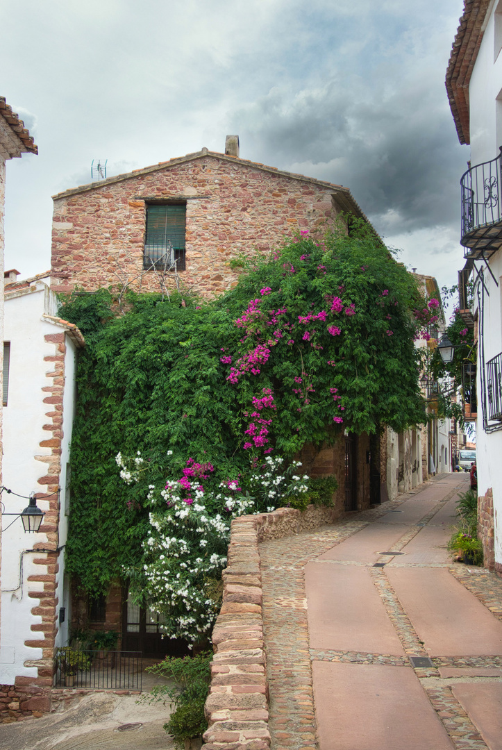 House with flowers