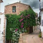 House with flowers