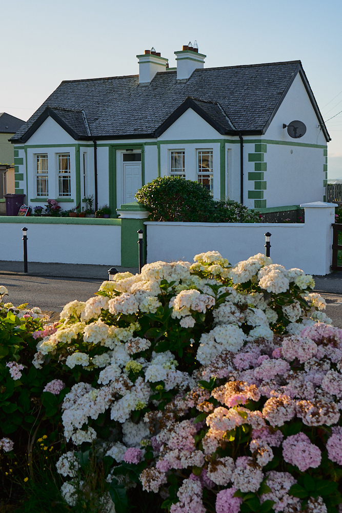 House with Flowers