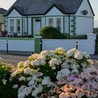 House with Flowers