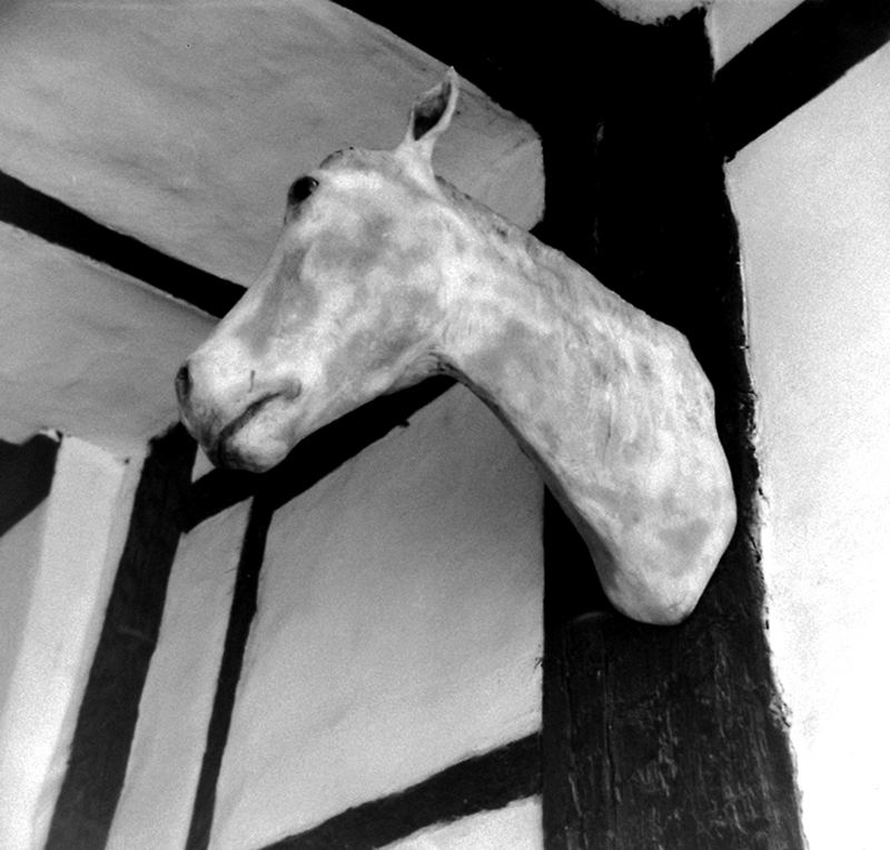 househorse