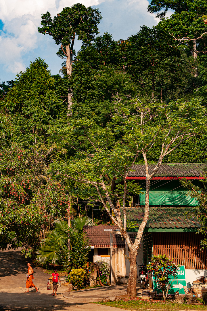 Housing of the monks in Wat Pa Ban Phoem