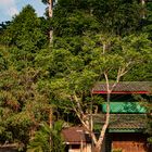 Housing of the monks in Wat Pa Ban Phoem