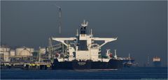 HOUSTON /  Oil Products Tanker / Callandkanal / Rotterdam