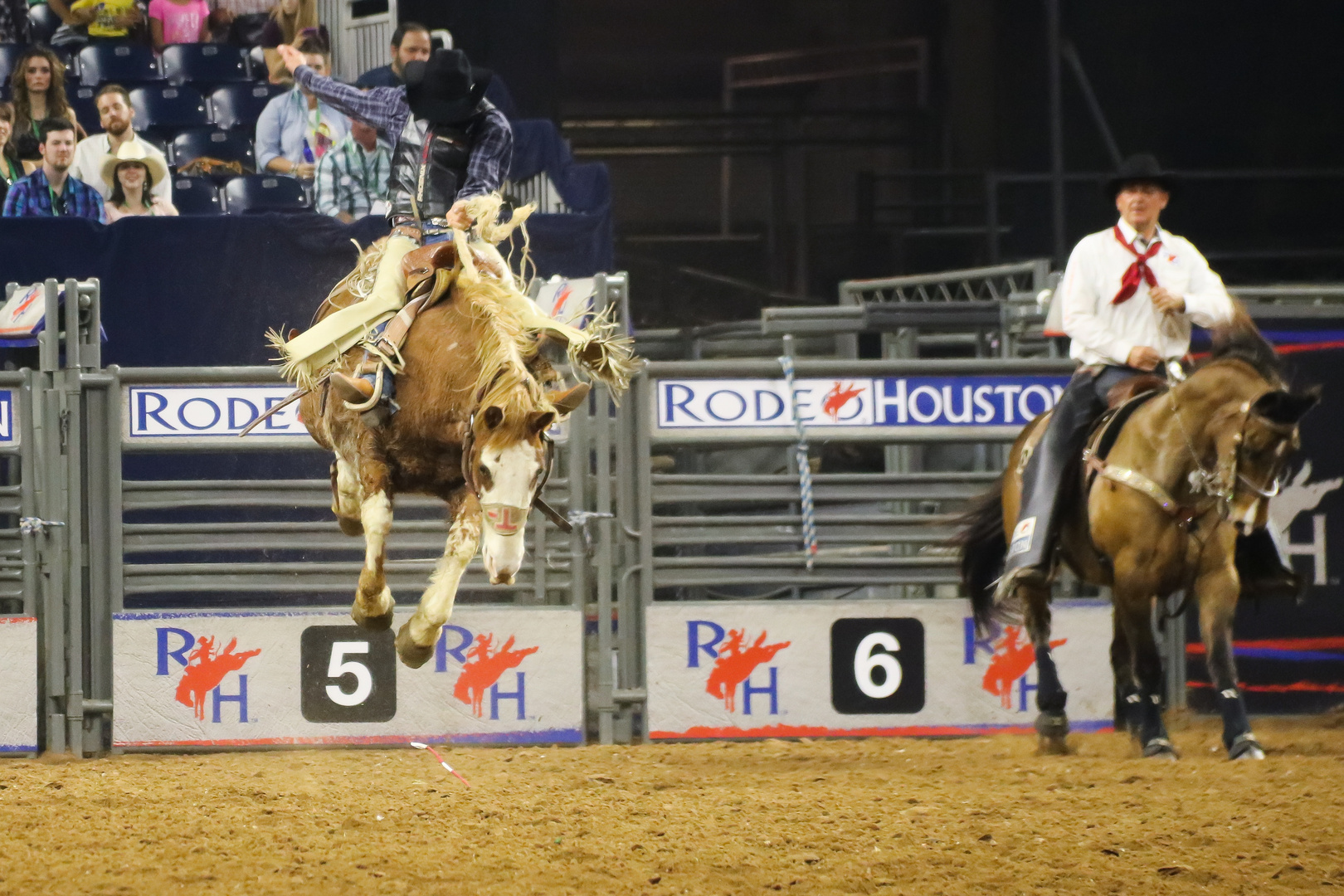 Houston rodeo