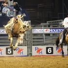 Houston rodeo