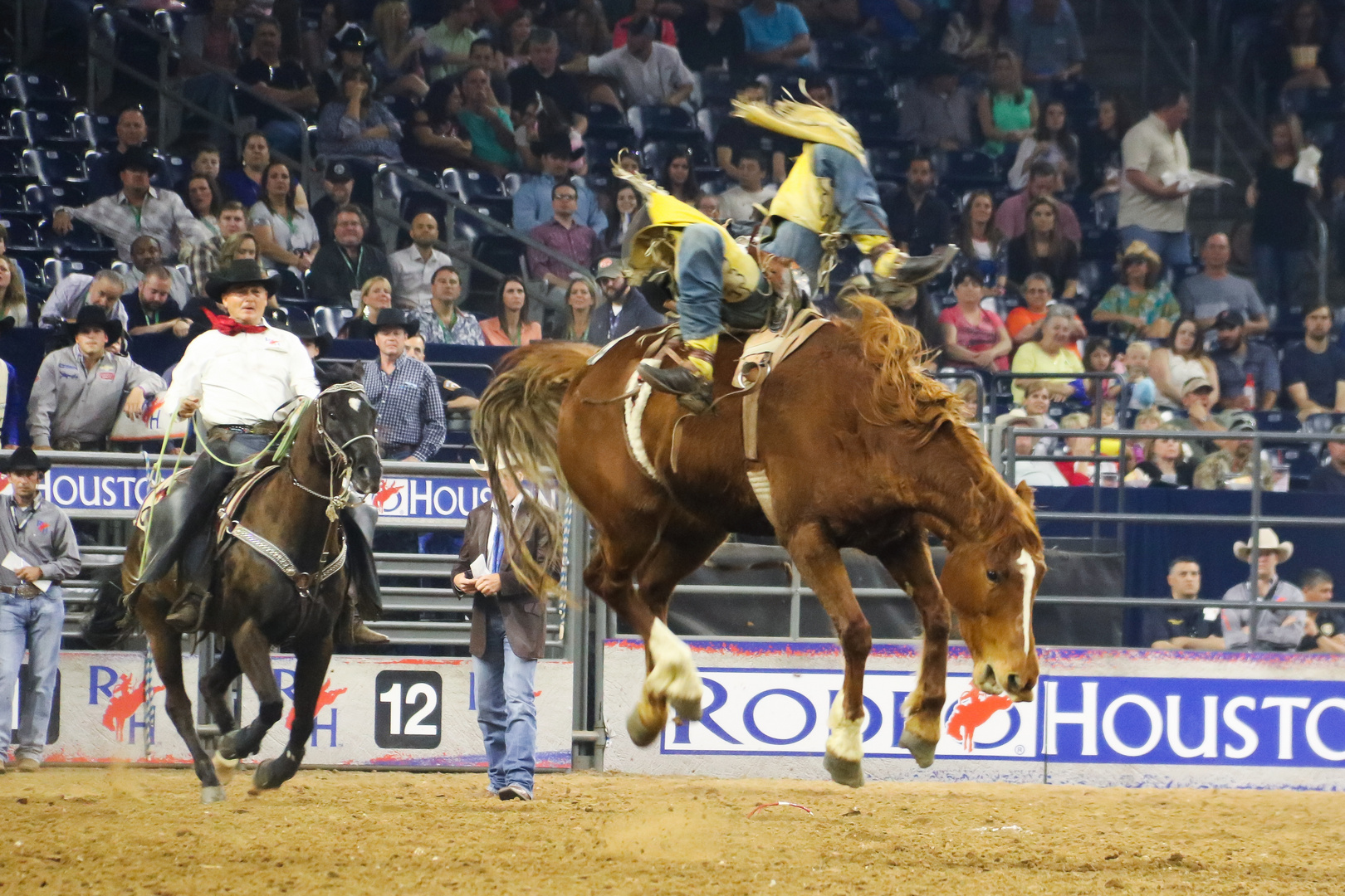 Houston rodeo