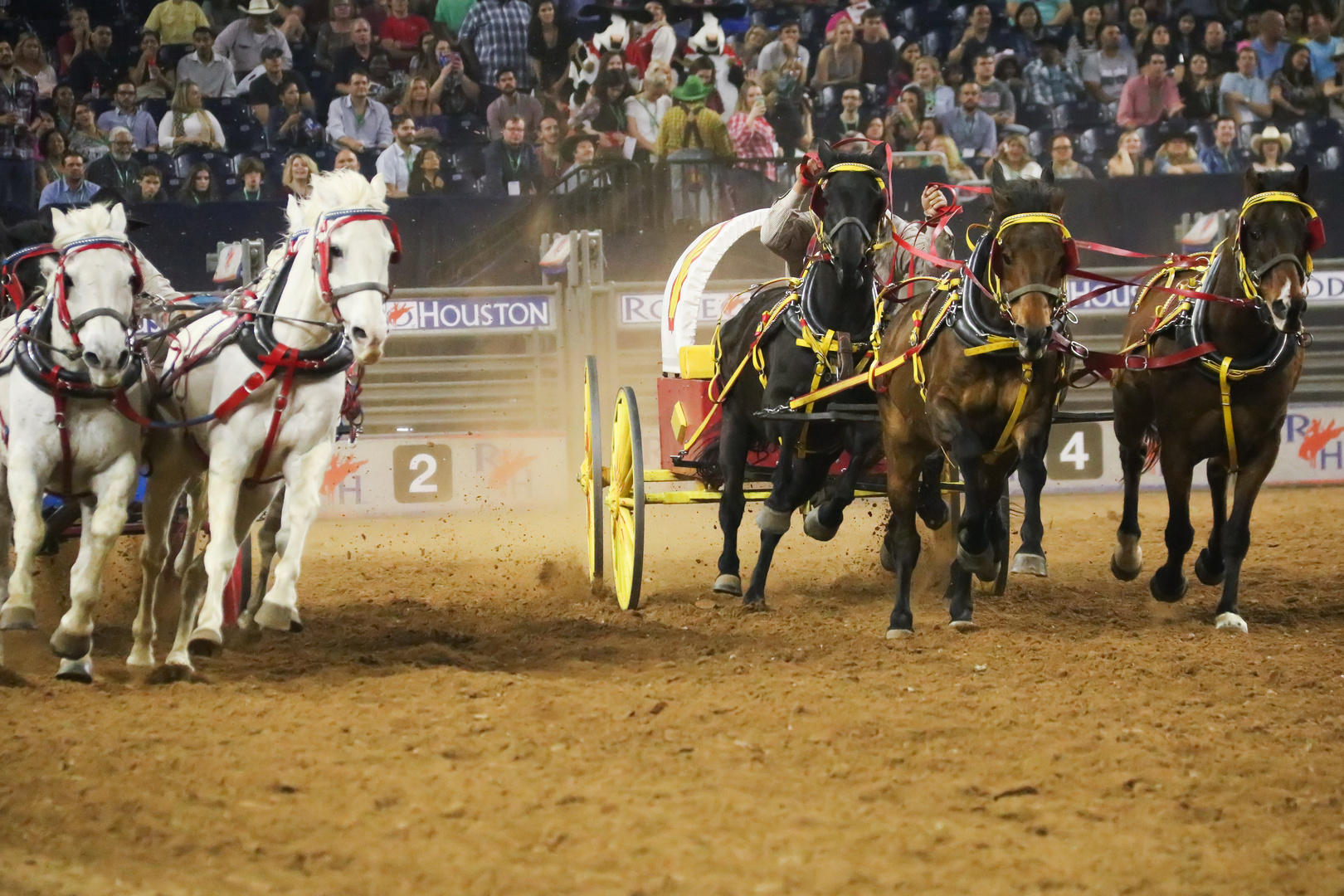 Houston rodeo