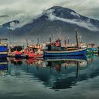 Hout Bay Harbour