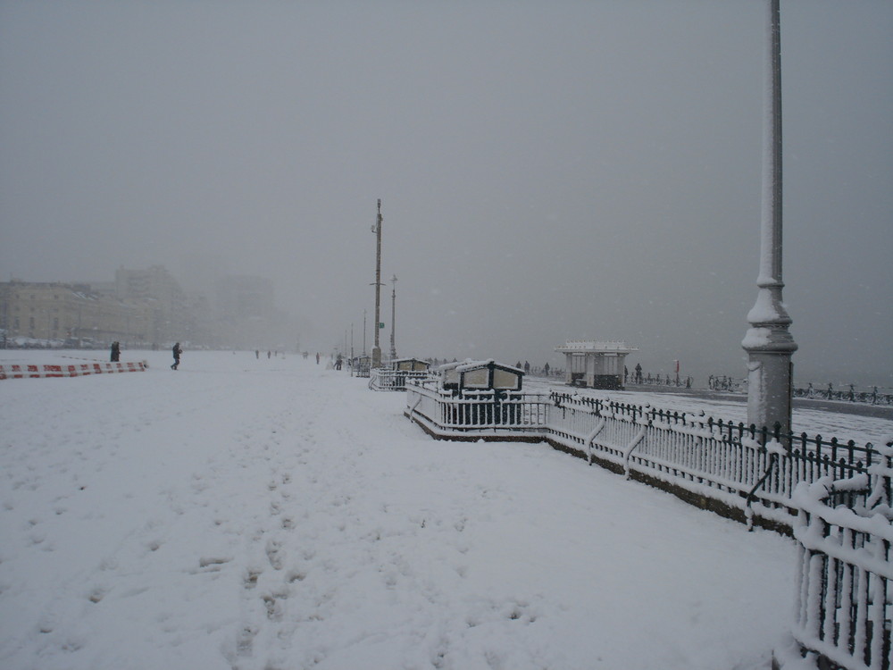 Hove Lawns