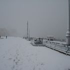 Hove Lawns