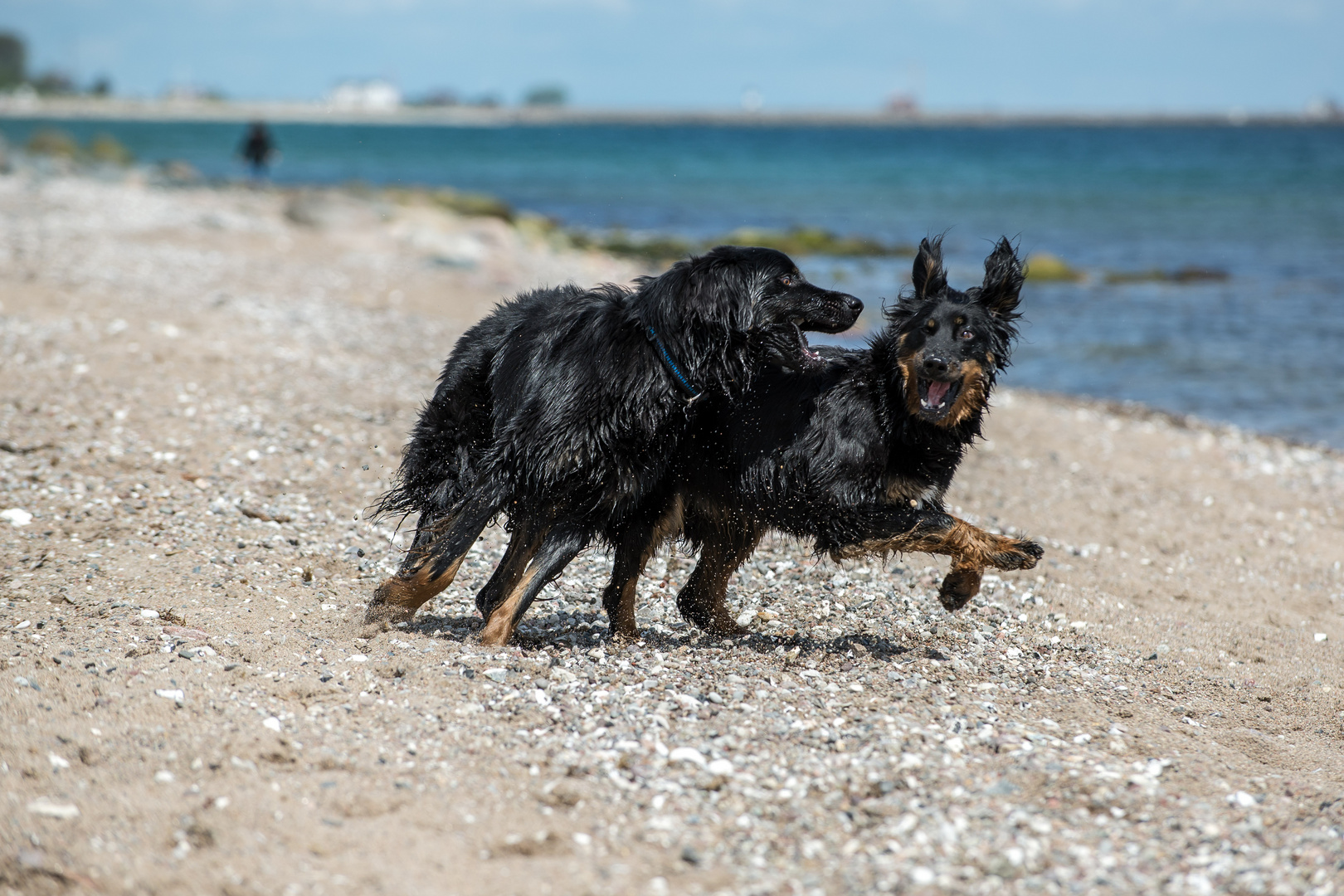 Hovi-Spiel am Ostseestrand