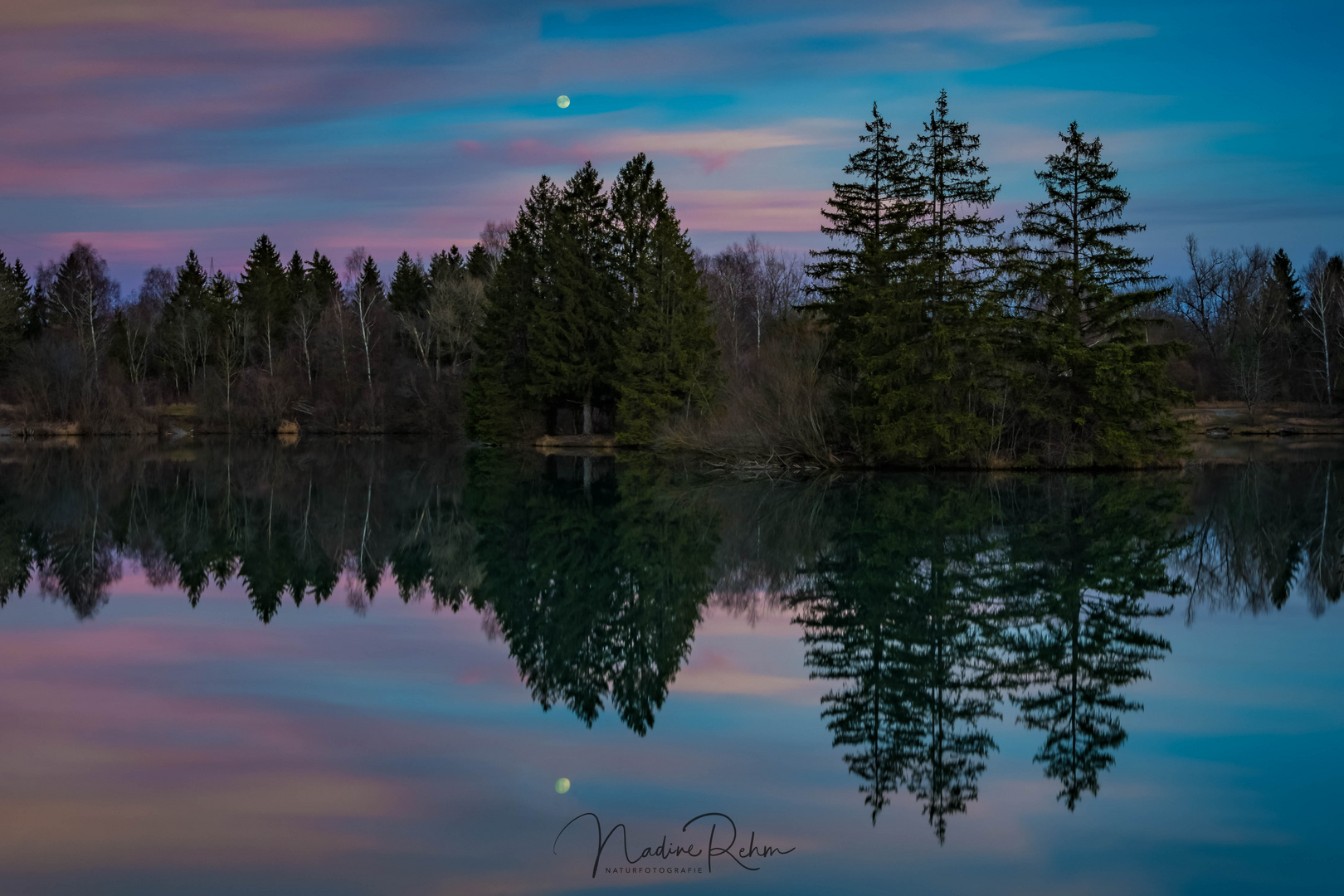 HOWLING AT THE MOON