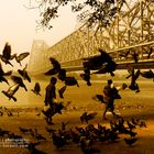 Howrah Bridge spanning the Hooghly River in Kolkata, India
