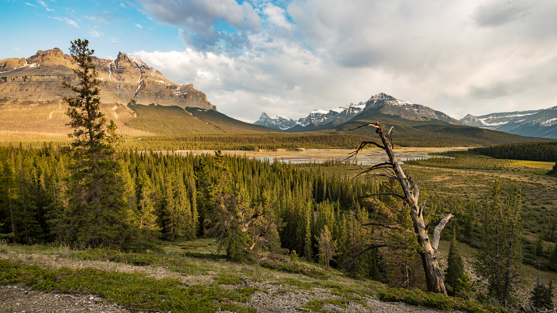 Howse Pass Viewpoint