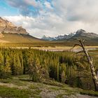 Howse Pass Viewpoint