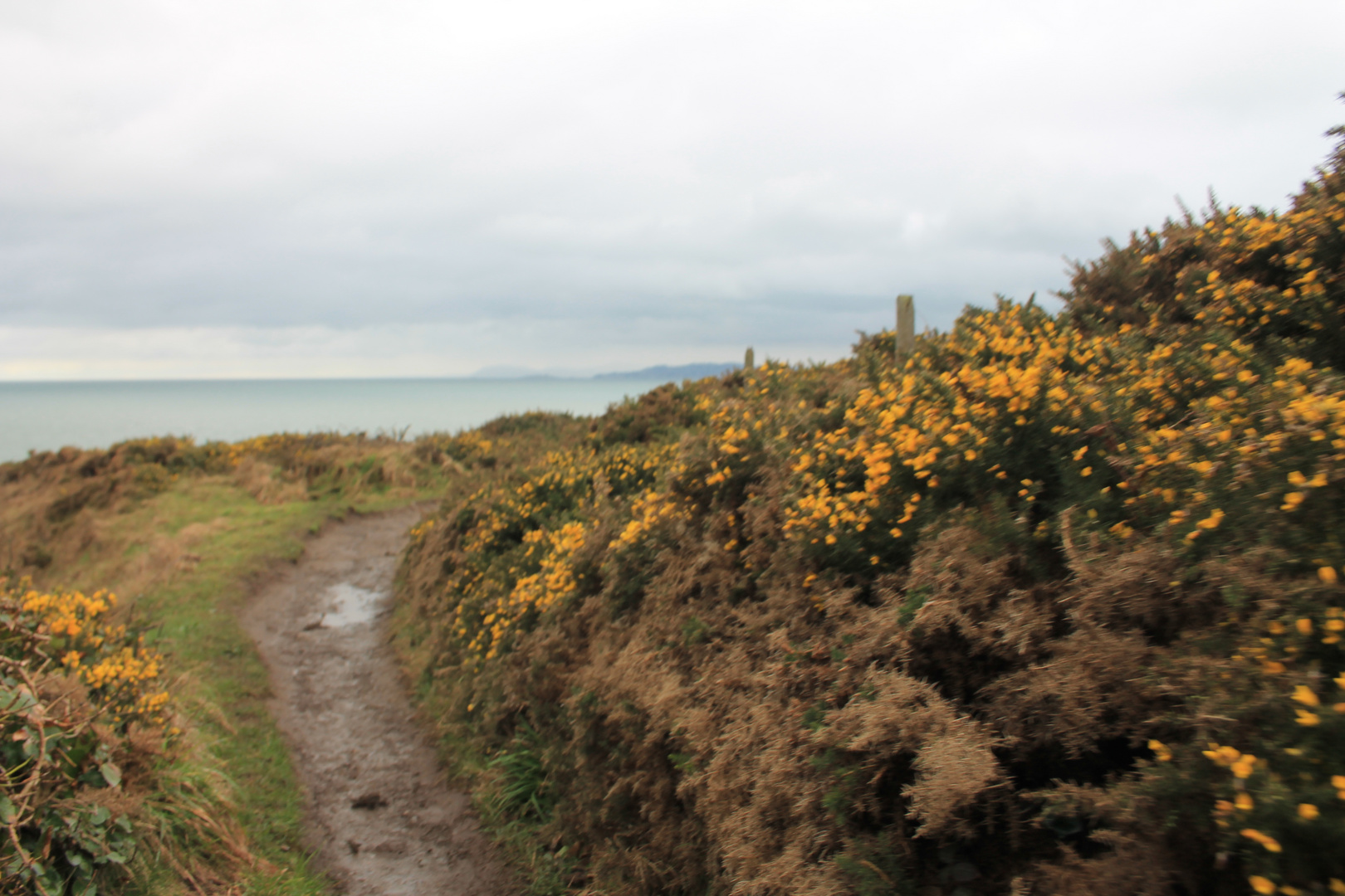 Howth Cliff Walk