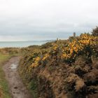 Howth Cliff Walk