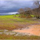 Hoy, después de la lluvia III (Heute, nach dem Regen III)