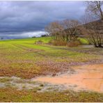 Hoy, después de la lluvia III (Heute, nach dem Regen III)