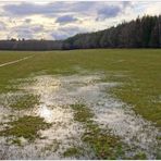 Hoy, después de la lluvia VI (Heute, nach dem Regen VI)