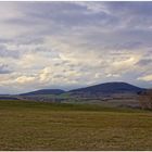 Hoy, después de la lluvia VIII (Heute, nach dem Regen VIII)