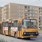 Hoyerswerda: 719 (Linie D)