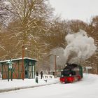 Hp Jagschloss im Schnee