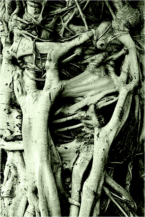 H.R. Giger Baum