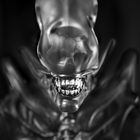 H.R. Giger - welcome to the Dark Side 