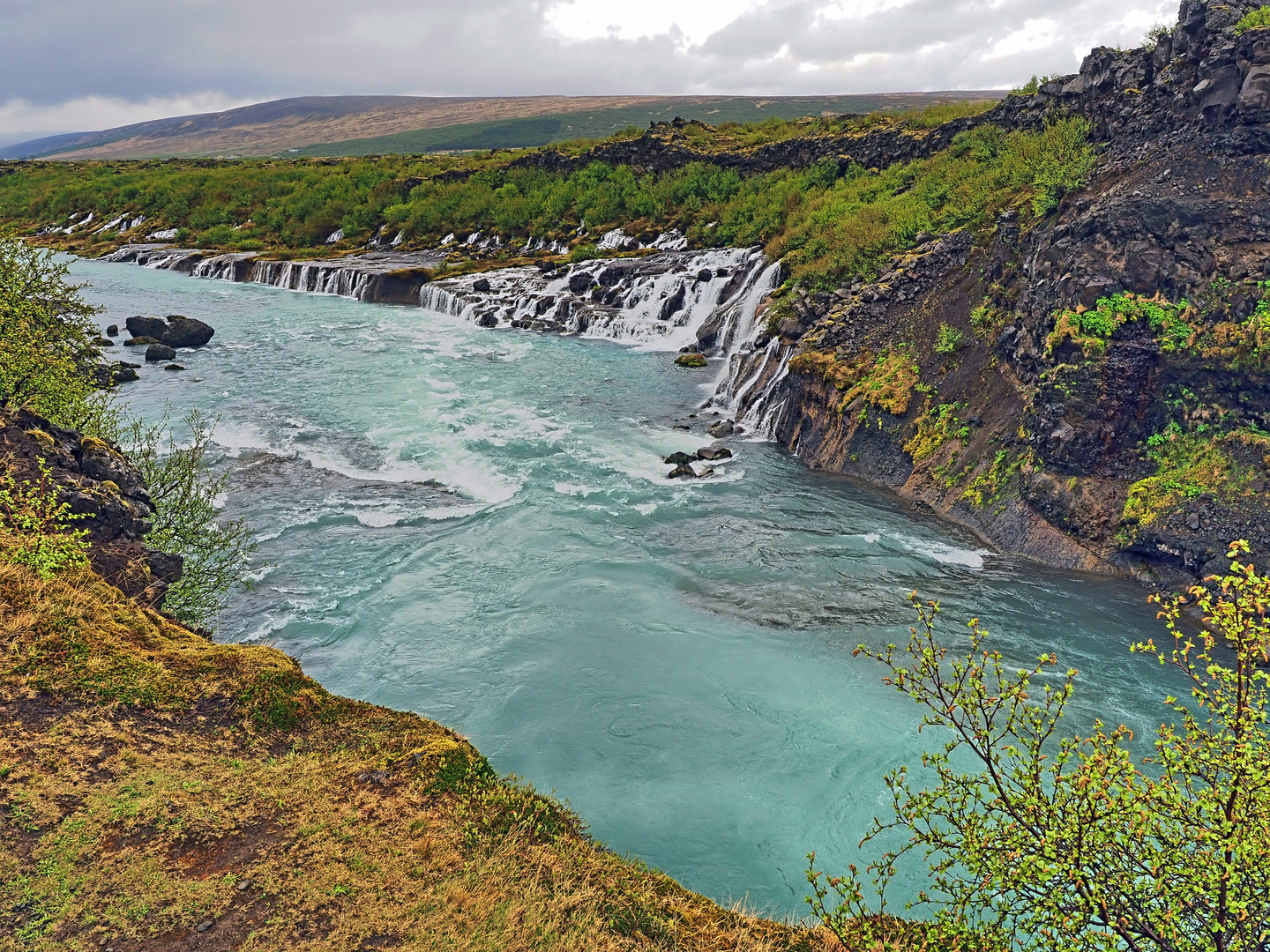 Hraunfossar - Lavawasserfälle des Flusses Hvítá