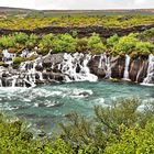 Hraunfossar - Lavawasserfälle des Flusses Hvítá