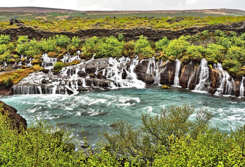 Hraunfossar - Lavawasserfälle des Flusses Hvítá